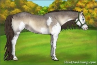 Horse Color:Liver Red Onyx Roan Splash