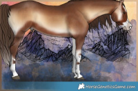 Horse Color:Red Onyx Splash 