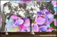 Horse Color:White Spotted Liver Chestnut 