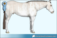 Horse Color:White Spotted Classic Champagne Dun Rabicano 