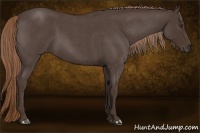 Horse Color:Liver Red Roan Sabino 