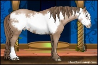 Horse Color:Black Pearl Frame 