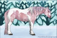 Horse Color:Watercolor Silver Bay Ice Tobiano