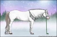 Horse Color:Smoky Black Ice Appaloosa Rabicano 