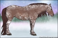 Horse Color:Chocolate Bay Ice