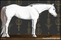 Horse Color:Brown Near Leopard 