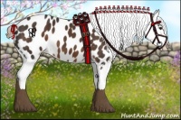 Horse Color:Liver Chestnut Sabino Appaloosa 