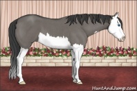 Horse Color:Smoky Grullo Roan Splash