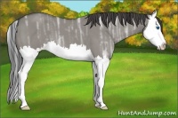 Horse Color:Smoky Grullo Ice Roan Splash 