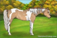 Horse Color:Silver Buckskin Tobiano Rabicano