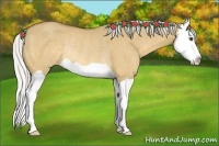 Horse Color:Silver Buckskin Dun Splash Rabicano 