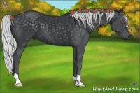 Horse Color:Silver Black Chinchilla