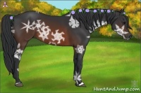 Horse Color:Brown Ice 