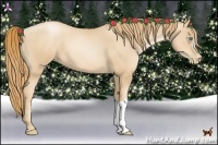 Horse Color:Gold Champagne Pearl