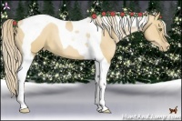 Horse Color:Red Dun Pearl Tobiano 