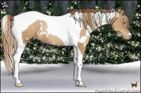 Horse Color:White Spotted Chestnut Pearl Tobiano 