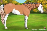 Horse Color:Watercolor Chestnut Splash 