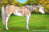 Horse Color:Nacre White Spotted Silver Bay Dun Splash Frame