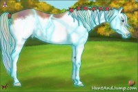 Horse Color:Nacre Thunderstruck Silver Bay Splash Frame 