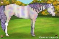 Horse Color:Nacre Watercolor Buckskin Pearl Dun 