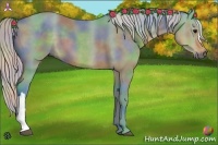Horse Color:Nacre Watercolor Silver Black 