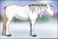 Horse Color:Buckskin Near Fewspot