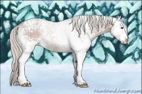 Horse Color:White Spotted Silver Bay Ice Sabino