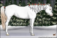 Horse Color:White Spotted Bay Pearl Splash Appaloosa Rabicano 