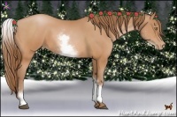 Horse Color:White Spotted Bay Pearl 