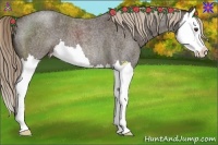 Horse Color:Liver Red Roan Splash 
