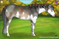 Horse Color:Brown Splash 