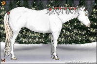 Horse Color:Chestnut Pearl Near Leopard Rabicano