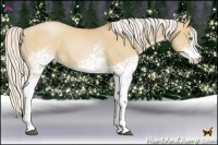 Horse Color:White Spotted Silver Bay Pearl Dun 