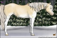 Horse Color:White Spotted Silver Bay Pearl Dun 