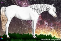 Horse Color:Buckskin Dun Appaloosa