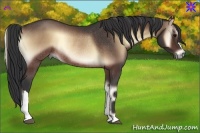 Horse Color:Brown Onyx Rabicano 
