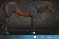 Horse Color:Brown 