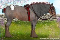Horse Color:Liver Chestnut Sabino Appaloosa 