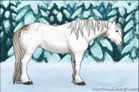 Horse Color:White Spotted Silver Bay Onyx