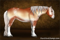 Horse Color:White Spotted Silver Bay Onyx