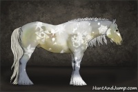 Horse Color:Watercolor White Spotted Silver Brown Ice 
