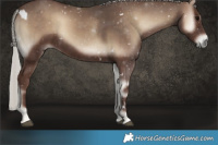 Horse Color:White Spotted Silver Blue Onyx 