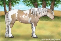 Horse Color:White Spotted Silver Black Pearl Tobiano