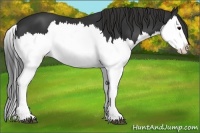 Horse Color:Brown Splash 
