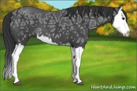 Horse Color:Blue Ice Roan Splash 