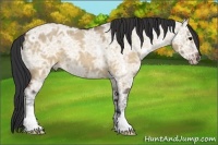 Horse Color:Brown Ice Roan Dun