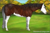 Horse Color:Brown Ice Splash