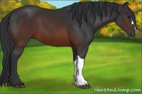 Horse Color:Brown 