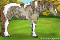 Horse Color:Brown Ice Pearl Dun Sabino Tobiano 