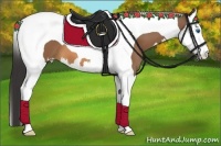 Horse Color:Buckskin Splash Tobiano 